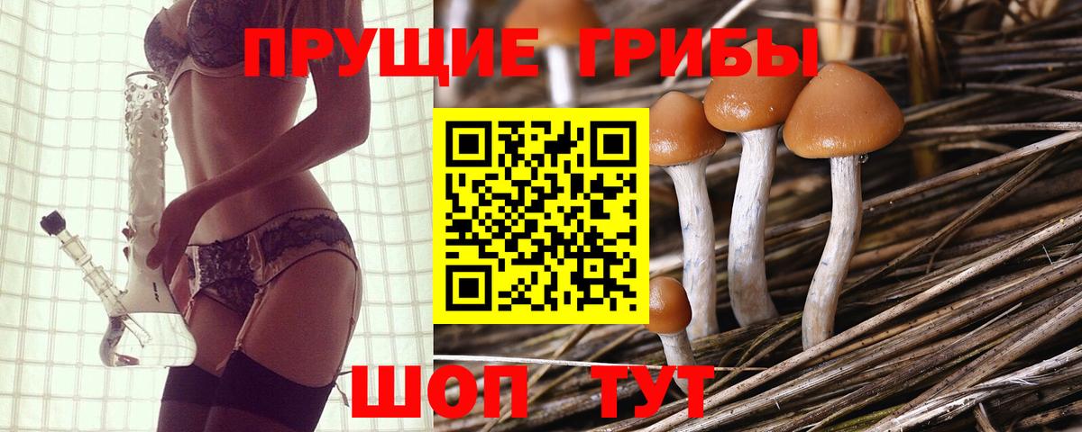 Галлюциногенные грибы мухоморы  Вход с VPN  Выкса 