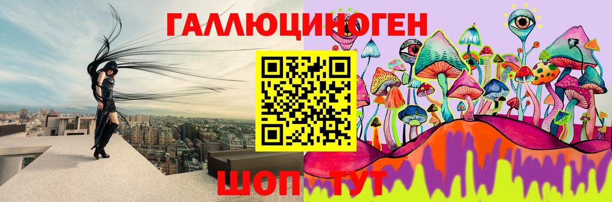 Псилоцибиновые грибы Cubensis Выкса