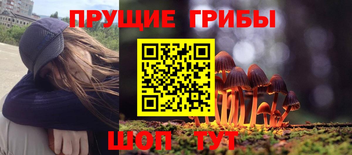 Псилоцибиновые грибы Psilocybine cubensis Выкса