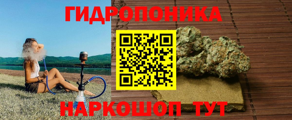 Каннабис OG Kush Выкса